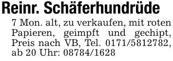 Reinr. Schäferhundrüde7 Mon. alt, zu verkaufen, mit rotenPapieren, geimpft und gechipt, Preis nach VB, Tel. ***, ab 20 Uhr: ***