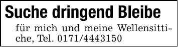 Suche dringend Bleibefür mich und meine Wellensittiche, Tel. ***