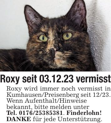 Roxy seit 03.12.23 vermisstRoxy wird immer noch vermisst in Kumhausen/Preisenberg seit 12/23.Wenn Aufenthalt/Hinweisebekannt, bitte melden unterTel. ***. Finderlohn!DANKE für jede Unterstützung.