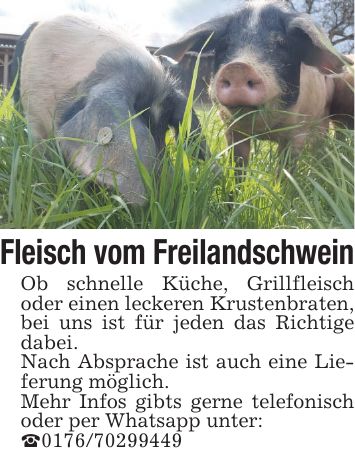 Fleisch vom Freilandschwein Ob schnelle Küche, Grillfleisch oder einen leckeren Krustenbraten, bei uns ist für jeden das Richtige dabei.Nach Absprache ist auch eine Lieferung möglich.Mehr Infos gibts gerne telefonisch oder per Whatsapp unter:_***