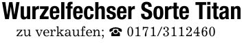 Wurzelfechser Sorte Titanzu verkaufen; _ ***