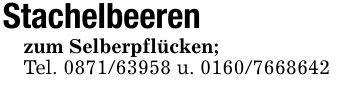 Stachelbeeren zum Selberpflücken;Tel. *** u. ***