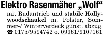 Elektro Rasenmäher 