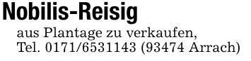 Nobilis-Reisigaus Plantage zu verkaufen,Tel. *** (93474 Arrach)