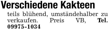 Verschiedene Kakteenteils blühend, umständehalber zu verkaufen. Preis VB, Tel. ***