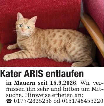 Kater ARIS entlaufenin Mauern seit 15.9.2026. Wir vermissen ihn sehr und bitten um Mitsuche. Hinweise erbeten an:_ *** od ***
