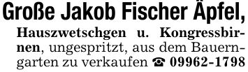Große Jakob Fischer Äpfel,Hauszwetschgen u. Kongressbirnen, ungespritzt, aus dem Bauerngarten zu verkaufen _ ***