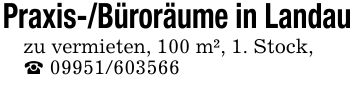 Praxis-/Büroräume in Landauzu vermieten, 100 m², 1. Stock,_ ***