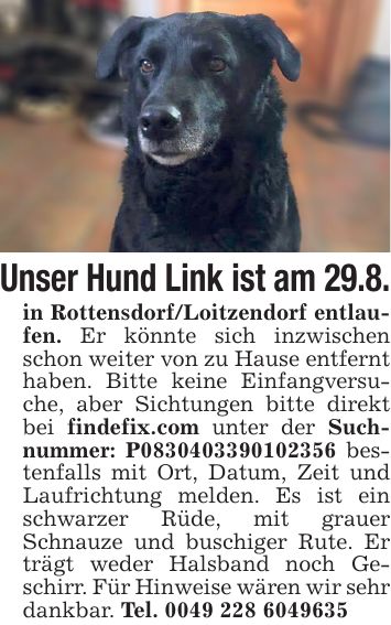 Unser Hund Link ist am 29.8.in Rottensdorf/Loitzendorf entlaufen. Er könnte sich inzwischen schon weiter von zu Hause entfernt haben. Bitte keine Einfangversuche, aber Sichtungen bitte direkt bei findefix.com unter der Suchnummer: P*** bestenfalls mit Ort, Datum, Zeit und Laufrichtung melden. Es ist ein schwarzer Rüde, mit grauer Schnauze und buschiger Rute. Er trägt weder Halsband noch Geschirr. Für Hinweise wären wir sehr dankbar. Tel. ***