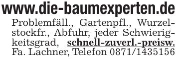 www.die-baumexperten.de Problemfäll., Gartenpfl., Wurzelstockfr., Abfuhr, jeder Schwierigkeitsgrad, schnell-zuverl.-preisw. Fa. Lachner, Telefon ***