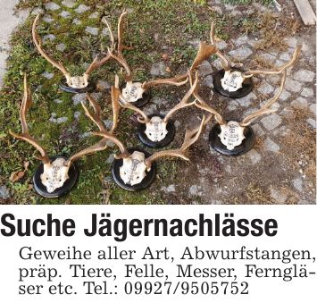 Suche JägernachlässeGeweihe aller Art, Abwurfstangen, präp. Tiere, Felle, Messer, Ferngläser etc. Tel.: ***