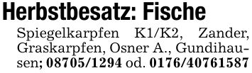 Herbstbesatz: FischeSpiegelkarpfen K1/K2, Zander, Graskarpfen, Osner A., Gundihausen; *** od. ***