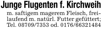 Junge Flugenten f. Kirchweihm. saftigem magerem Fleisch, freilaufend m. natürl. Futter gefüttert; Tel. *** od. ***