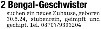 2 Bengal-Geschwistersuchen ein neues Zuhause, geboren 30.5.24, stubenrein, geimpft und gechipt. Tel. ***