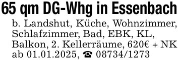 65 qm DG-Whg in Essenbach b. Landshut, Küche, Wohnzimmer, Schlafzimmer, Bad, EBK, KL, Balkon, 2. Kellerräume, 620€ + NK ab 01.01.2025, _ ***