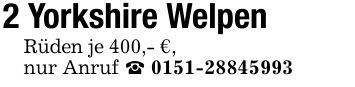 2 Yorkshire WelpenRüden je 400,- €,nur Anruf _ ***