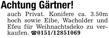 Achtung Gärtner!auch Privat. Konifere ca. 3.50m hoch sowie Eibe, Wacholder und Efeu für Weihnachtsdeko zu verkaufen. _***