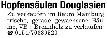 Hopfensäulen DouglasienZu verkaufen im Raum Mainburg, frische, gerade gewachsene Bäume, VB + Brennholz zu verkaufen_ ***