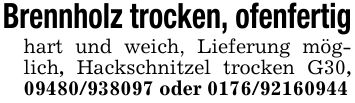 Brennholz trocken, ofenfertighart und weich, Lieferung möglich, Hackschnitzel trocken G30, *** oder ***