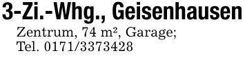 3-Zi.-Whg., GeisenhausenZentrum, 74 m², Garage;Tel. ***
