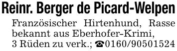 Reinr. Berger de Picard-WelpenFranzösischer Hirtenhund, Rasse bekannt aus Eberhofer-Krimi,3 Rüden zu verk.; _***