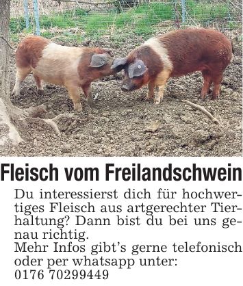 Fleisch vom Freilandschwein Du interessierst dich für hochwertiges Fleisch aus artgerechter Tierhaltung? Dann bist du bei uns genau richtig. Mehr Infos gibt's gerne telefonisch oder per whatsapp unter: ***
