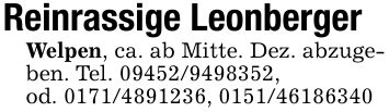 Reinrassige LeonbergerWelpen, ca. ab Mitte. Dez. abzugeben. Tel. ***,od. ***, ***