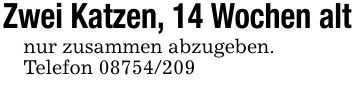 Zwei Katzen, 14 Wochen altnur zusammen abzugeben.Telefon ***