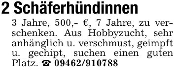2 Schäferhündinnen3 Jahre, 500,- €, 7 Jahre, zu verschenken. Aus Hobbyzucht, sehr anhänglich u. verschmust, geimpft u. gechipt, suchen einen guten Platz. _ ***