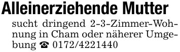 Alleinerziehende Muttersucht dringend 2-3-Zimmer-Wohnung in Cham oder näherer Umgebung _ ***