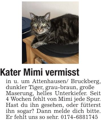 Kater Mimi vermisstin u. um Attenhausen/ Bruckberg, dunkler Tiger, grau-braun, großeMaserung, helles Unterkiefer. Seit 4 Wochen fehlt von Mimi jede Spur.Hast du ihn gesehen, oder fütterst ihn sogar? Dann melde dich bitte. Er fehlt uns so sehr. ***