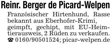 Reinr. Berger de Picard-WelpenFranzösischer Hirtenhund, Rasse bekannt aus Eberhofer-Krimi,geimpft, gechipt, mit EU-Heimtierausweis, 2 Rüden zu verkaufen._ ***; picar-welpen.de