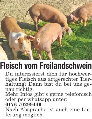 Fleisch vom Freilandschwein Du interessierst dich für hochwertiges Fleisch aus artgerechter Tierhaltung? Dann bist du bei uns genau richtig. Mehr Infos gibt's gerne telefonisch oder per whatsapp unter: *** Nach Absprache ist auch eine Lieferung möglich.