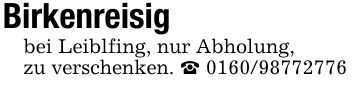 Birkenreisigbei Leiblfing, nur Abholung,zu verschenken. _ ***