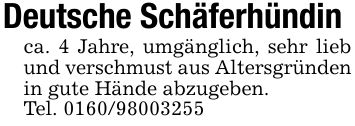 Deutsche Schäferhündinca. 4 Jahre, umgänglich, sehr lieb und verschmust aus Altersgründen in gute Hände abzugeben.Tel. ***