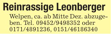 Reinrassige LeonbergerWelpen, ca. ab Mitte Dez. abzugeben. Tel. *** oder***, ***