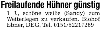 Freilaufende Hühner günstig1 J., schöne weiße (Sandy) zum Weiterlegen zu verkaufen. Biohof Ebner, DEG, Tel. ***