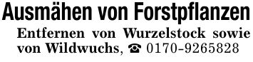 Ausmähen von ForstpflanzenEntfernen von Wurzelstock sowie von Wildwuchs, _ ***