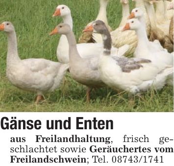 Gänse und Entenaus Freilandhaltung, frisch geschlachtet sowie Geräuchertes vom Freilandschwein; Tel. ***