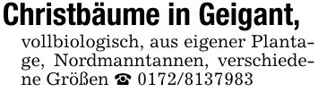Christbäume in Geigant,vollbiologisch, aus eigener Plantage, Nordmanntannen, verschiedene Größen _ ***