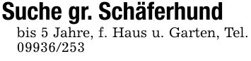 Suche gr. Schäferhundbis 5 Jahre, f. Haus u. Garten, Tel. ***