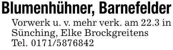 Blumenhühner, BarnefelderVorwerk u. v. mehr verk. am 22.3 in Sünching, Elke BrockgreitensTel. ***