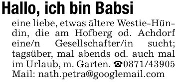 Hallo, ich bin Babsieine liebe, etwas ältere Westie-Hündin, die am Hofberg od. Achdorf eine/n Gesellschafter/in sucht; tagsüber, mal abends od. auch mal im Urlaub, m. Garten. _***Mail: nath.petra@googlemail.com