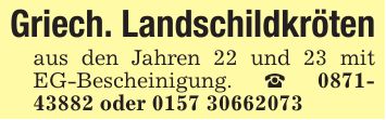 Griech. Landschildkrötenaus den Jahren 22 und 23 mit EG-Bescheinigung. _ *** oder ***