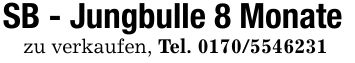 SB - Jungbulle 8 Monate zu verkaufen, Tel. ***
