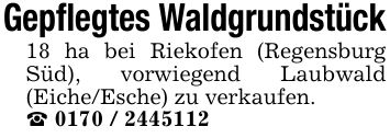 Gepflegtes Waldgrundstück 18 ha bei Riekofen (Regensburg Süd), vorwiegend Laubwald (Eiche/Esche) zu verkaufen. _ ***