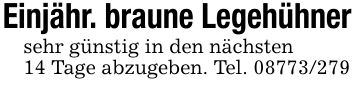 Einjähr. braune Legehühnersehr günstig in den nächsten14 Tage abzugeben. Tel. ***