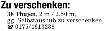 Zu verschenken:38 Thujen, 2 m / 2,50 m,gg. Selbstaushub zu verschenken,_ ***