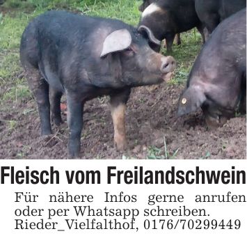 Fleisch vom FreilandschweinFür nähere Infos gerne anrufen oder per Whatsapp schreiben.Rieder_Vielfalthof, ***