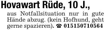 Hovawart Rüde, 10 J.,aus Notfallsituation nur in gute Hände abzug. (kein Hofhund, geht gerne spazieren). _ ***